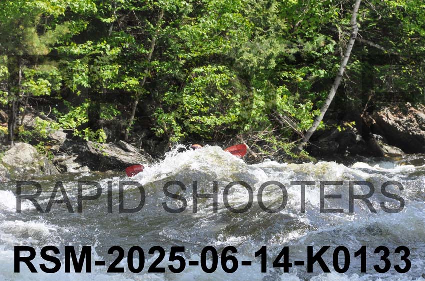 RSM-2025-06-14-K0133
