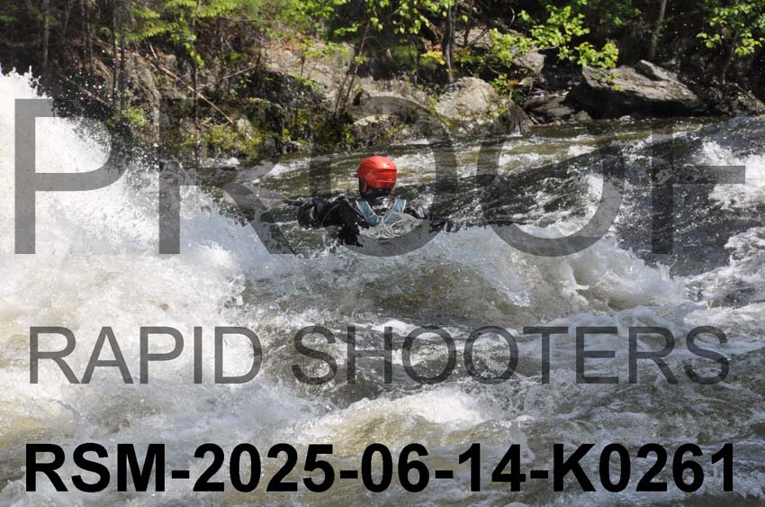 RSM-2025-06-14-K0261