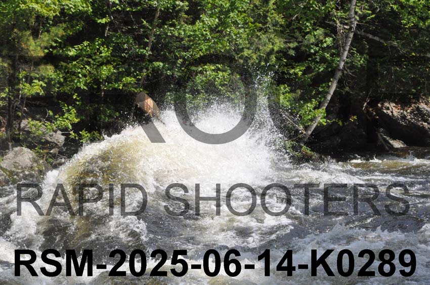 RSM-2025-06-14-K0289