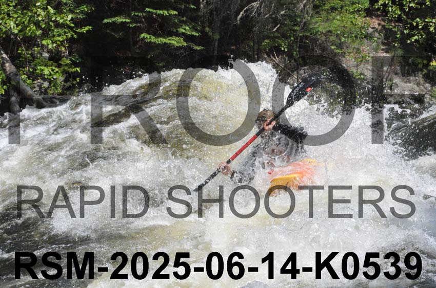 RSM-2025-06-14-K0539