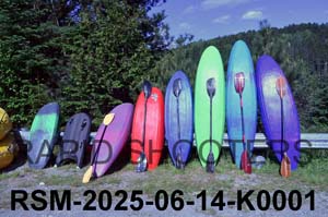 RSM-2025-06-14-K0001