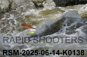 RSM-2025-06-14-K0138
