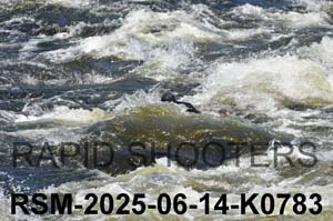 RSM-2025-06-14-K0783