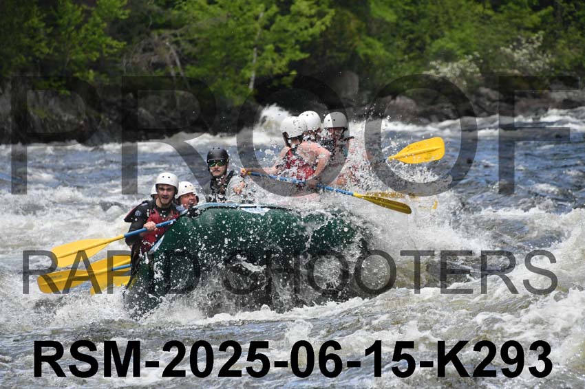 RSM-2025-06-15-K293