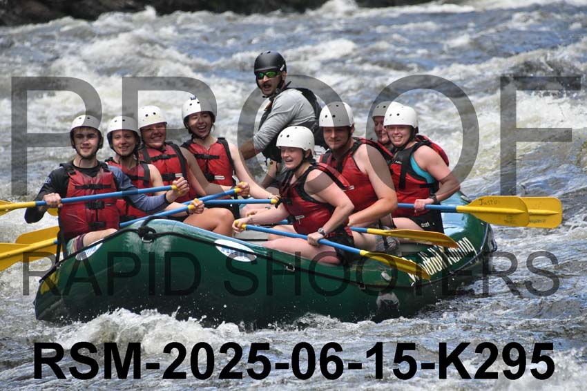 RSM-2025-06-15-K295