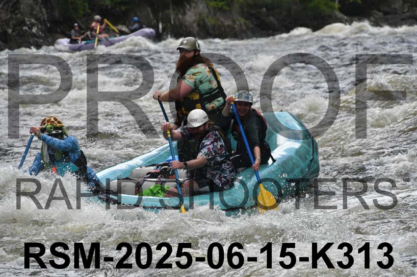 RSM-2025-06-15-K313