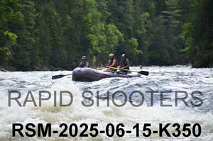 RSM-2025-06-15-K350