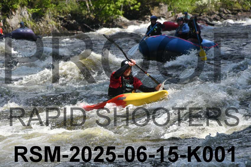 RSM-2025-06-15-K001