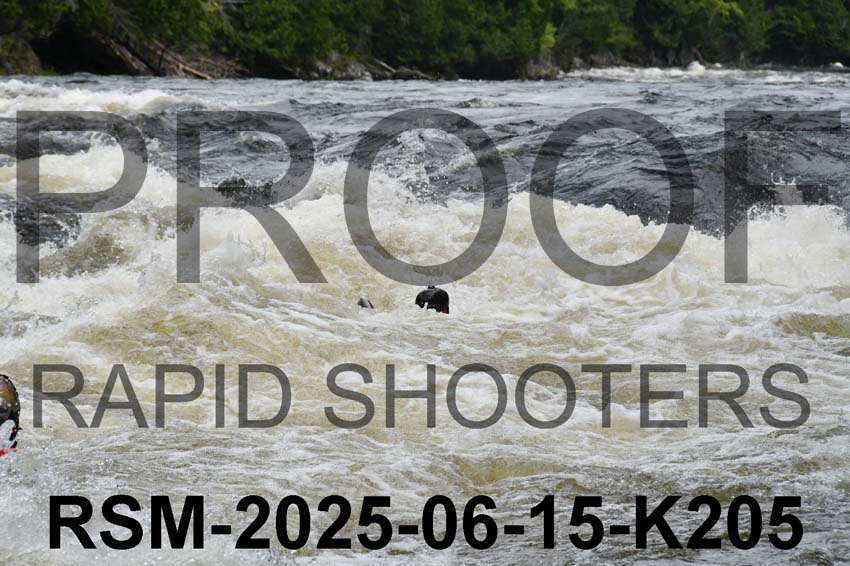 RSM-2025-06-15-K205