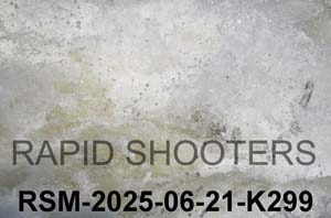 RSM-2025-06-21-K299