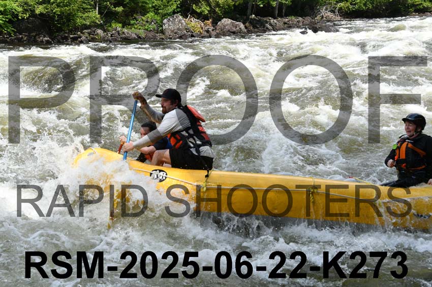 RSM-2025-06-22-K273