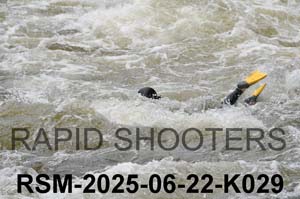 RSM-2025-06-22-K029
