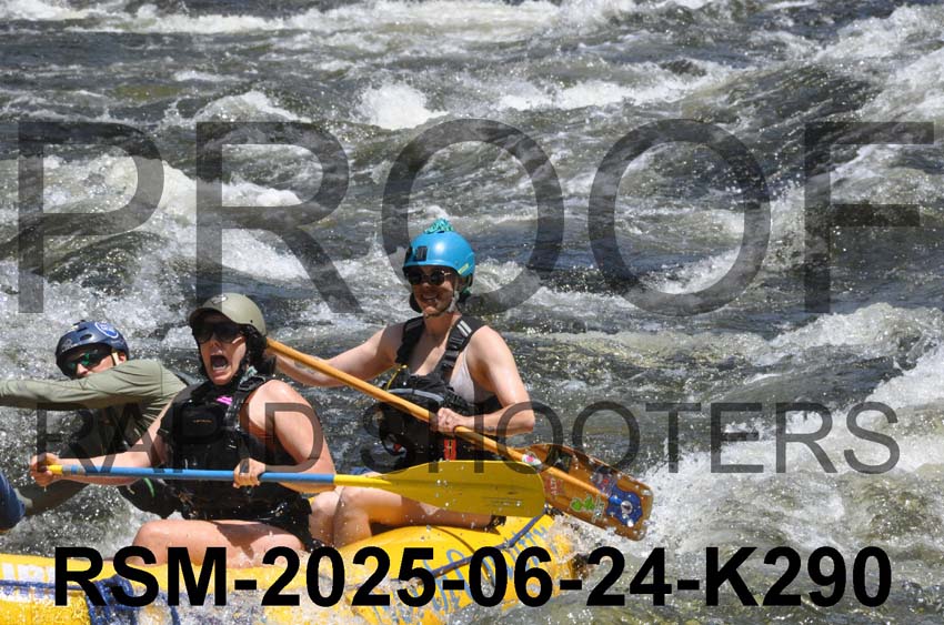 RSM-2025-06-24-K290