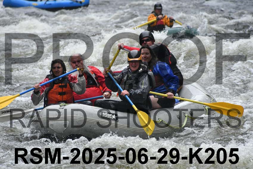 RSM-2025-06-29-K205