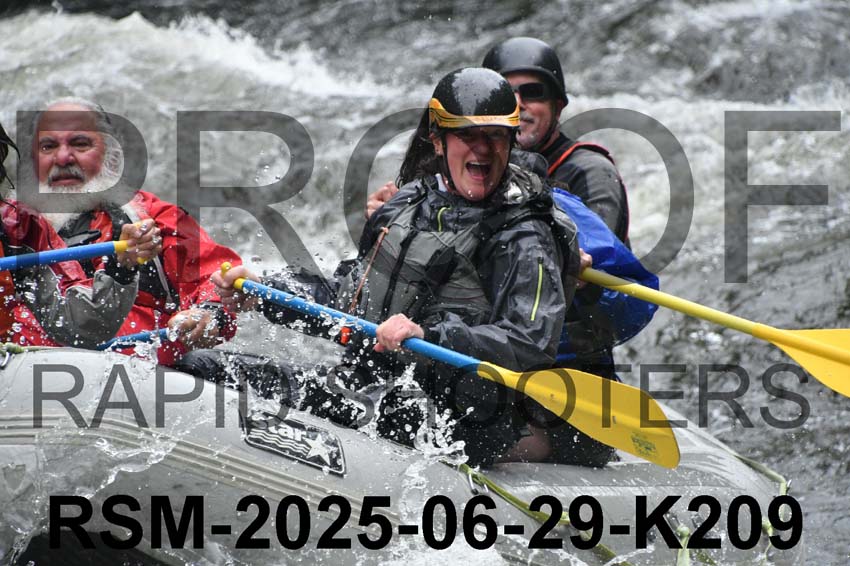 RSM-2025-06-29-K209