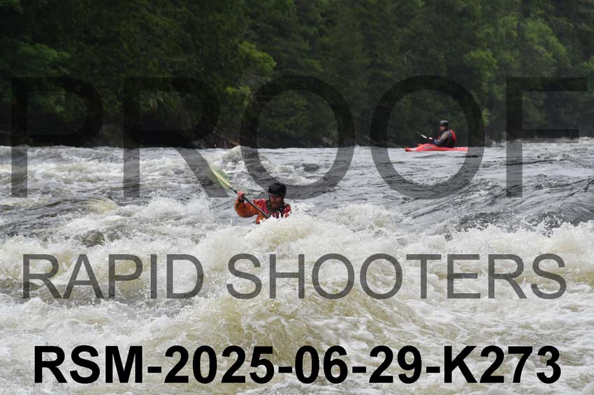 RSM-2025-06-29-K273