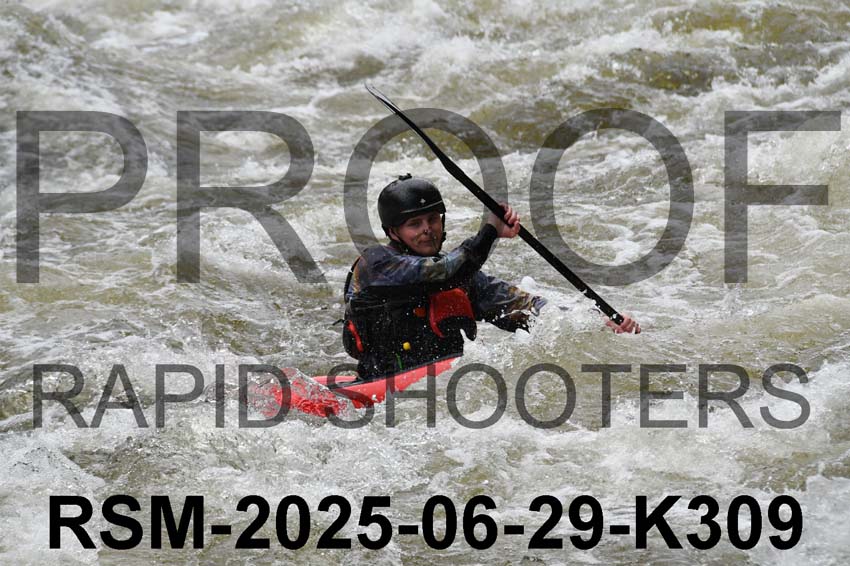 RSM-2025-06-29-K309