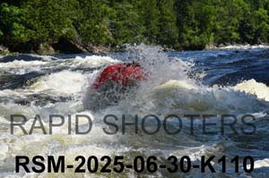 RSM-2025-06-30-K110