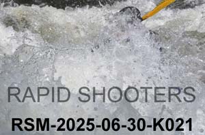 RSM-2025-06-30-K021