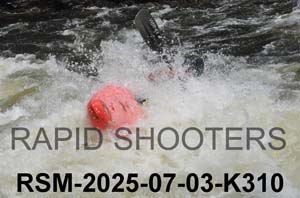 RSM-2025-07-03-K310