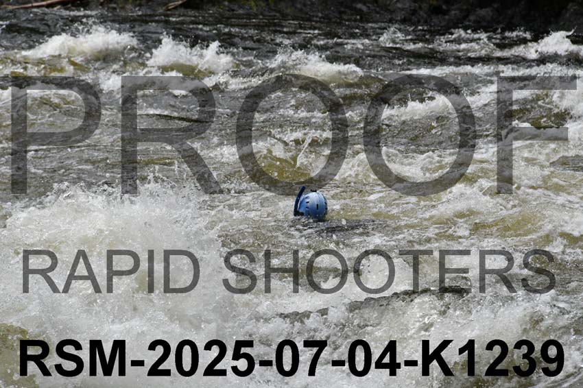 RSM-2025-07-04-K1239