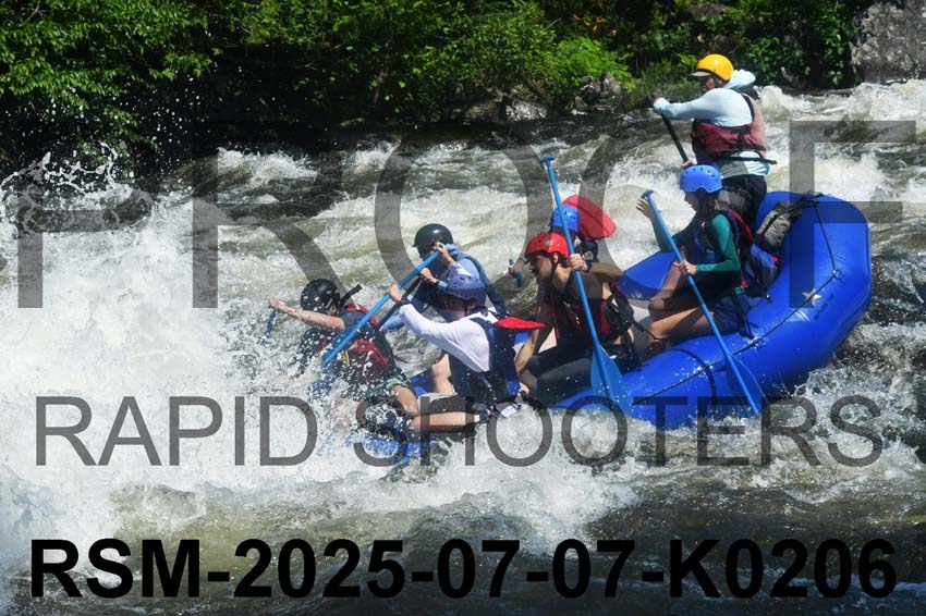 RSM-2025-07-07-K0206