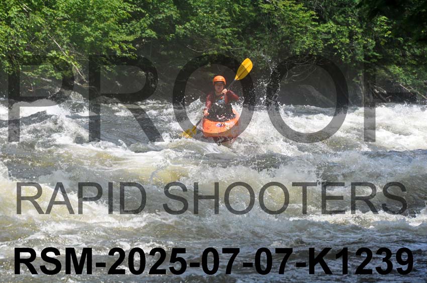 RSM-2025-07-07-K1239