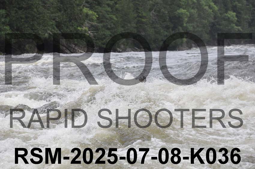 RSM-2025-07-08-K036