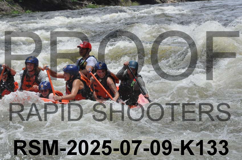 RSM-2025-07-09-K133