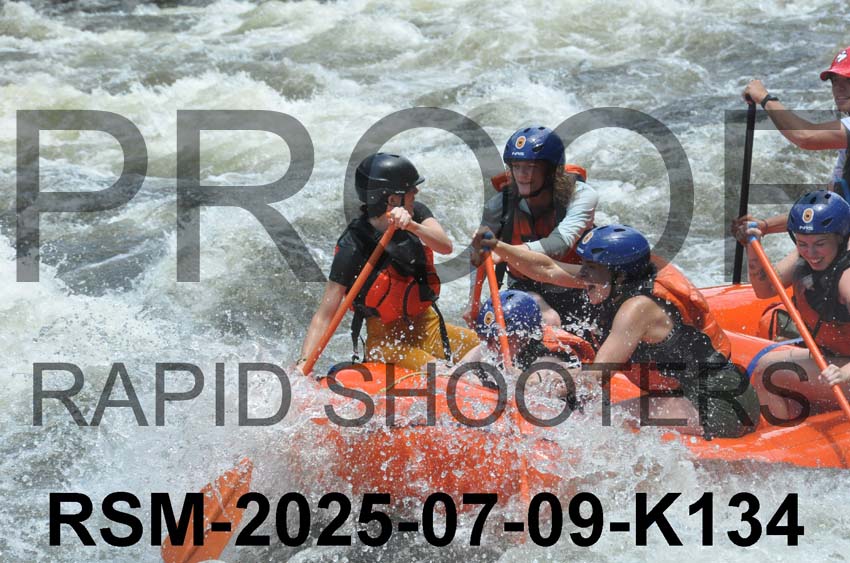RSM-2025-07-09-K134