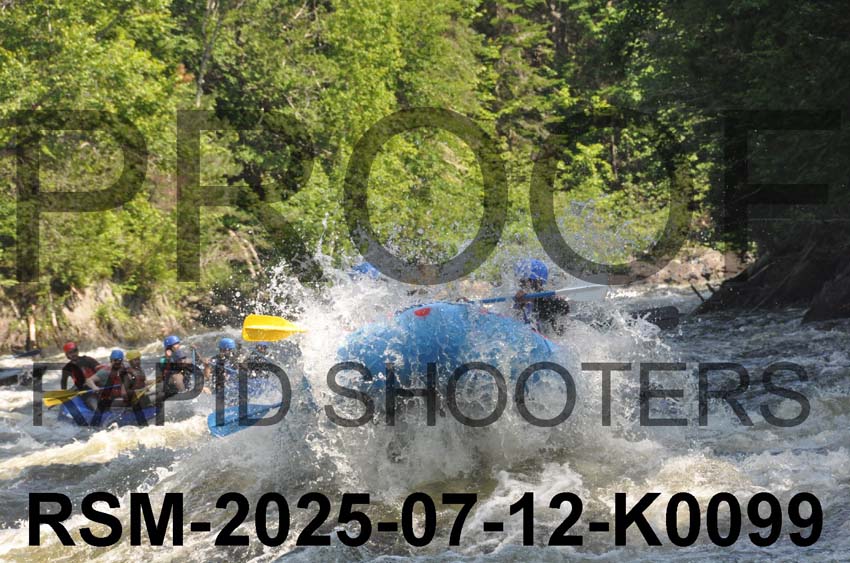 RSM-2025-07-12-K0099