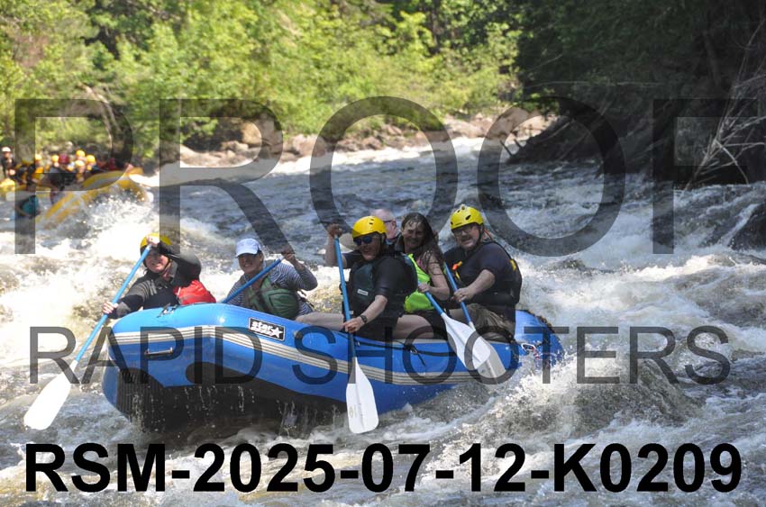 RSM-2025-07-12-K0209