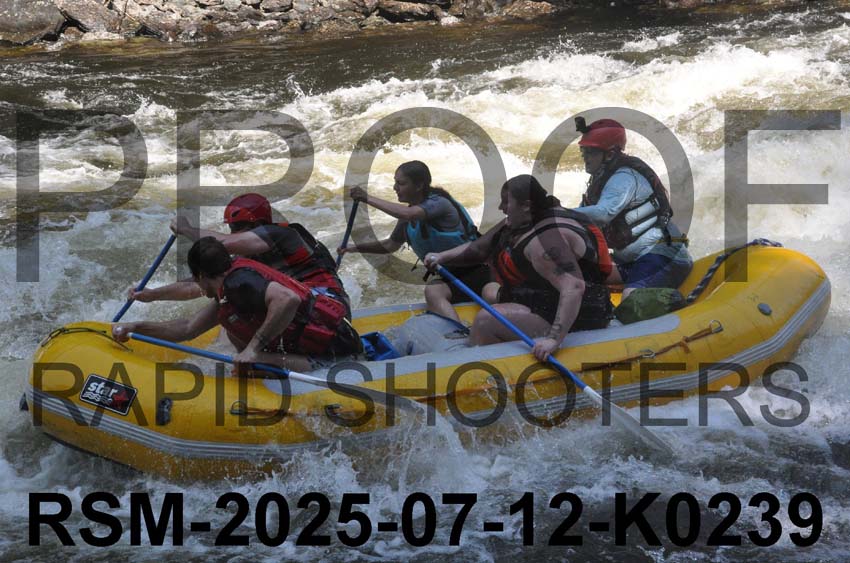 RSM-2025-07-12-K0239
