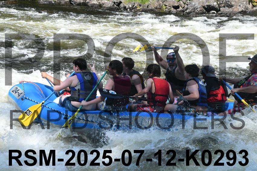 RSM-2025-07-12-K0293
