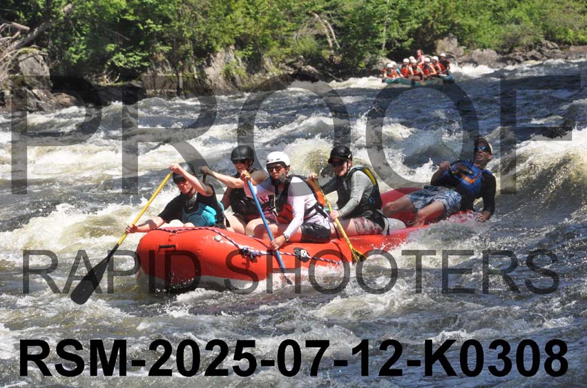 RSM-2025-07-12-K0308