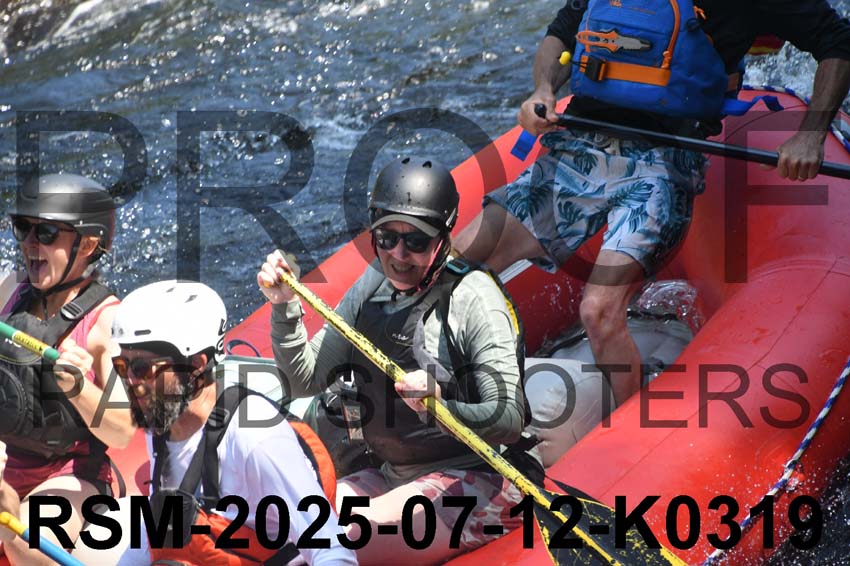 RSM-2025-07-12-K0319
