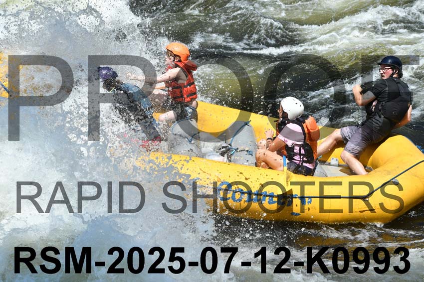 RSM-2025-07-12-K0993