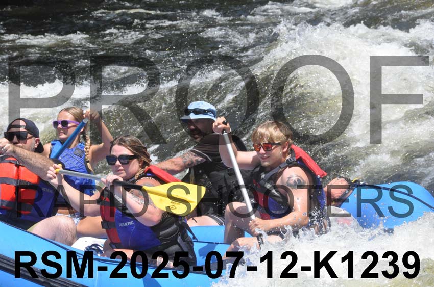 RSM-2025-07-12-K1239
