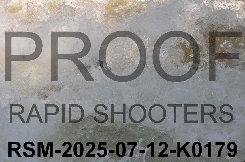 RSM-2025-07-12-K0179