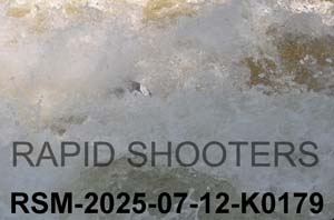 RSM-2025-07-12-K0179