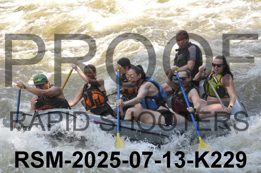 RSM-2025-07-13-K229