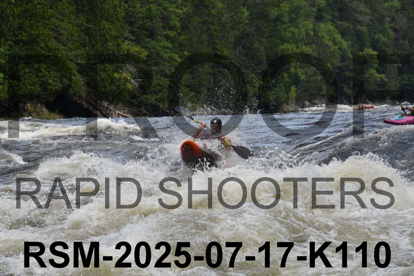 RSM-2025-07-17-K110