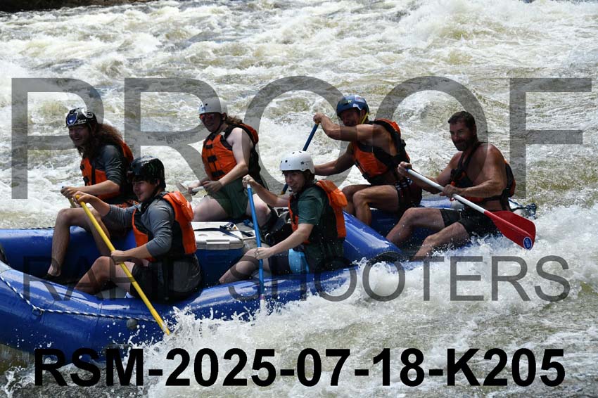 RSM-2025-07-18-K205
