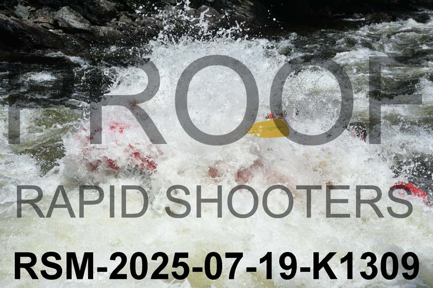 RSM-2025-07-19-K1309