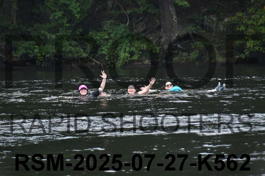RSM-2025-07-27-K562