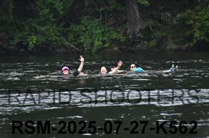 RSM-2025-07-27-K562