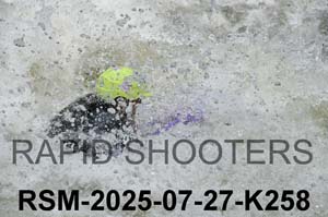 RSM-2025-07-27-K258
