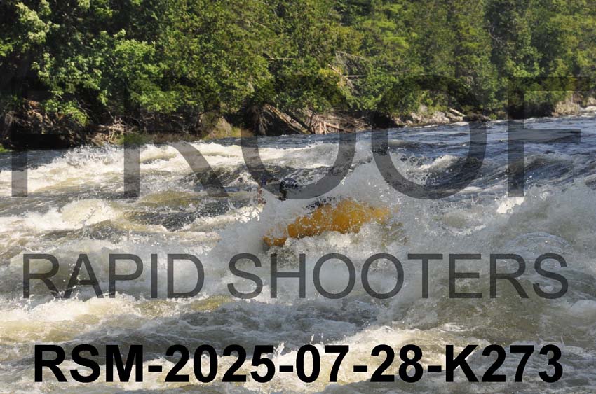 RSM-2025-07-28-K273