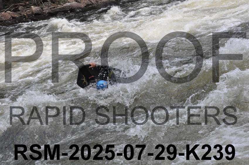 RSM-2025-07-29-K239