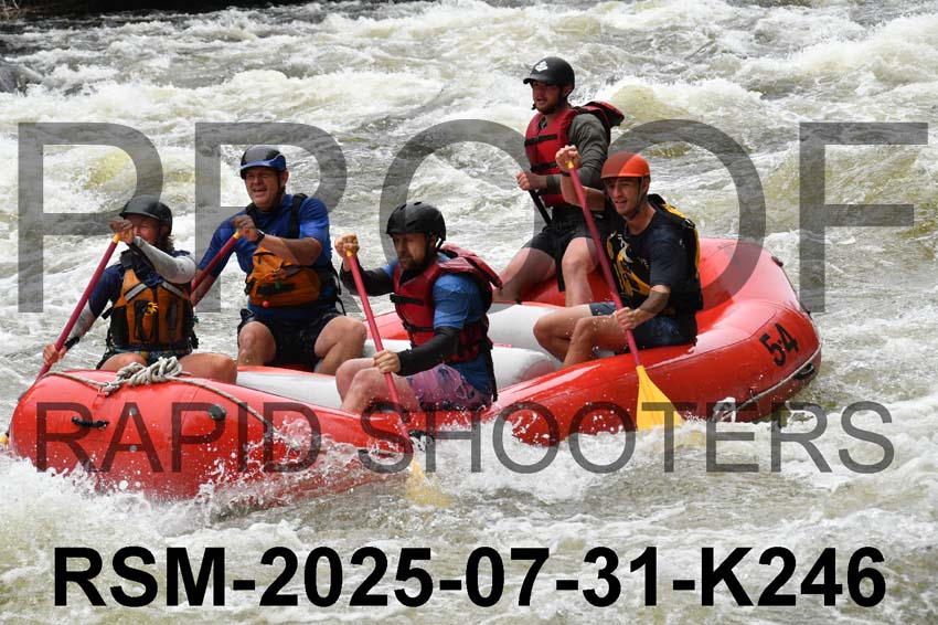 RSM-2025-07-31-K246